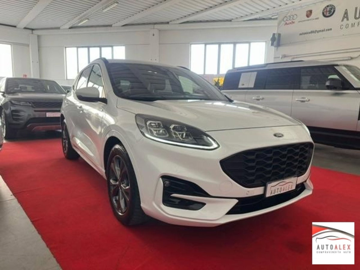 Ford Kuga 2.0 EcoBlue 120 CV aut. 2WD ST-Line X (3)