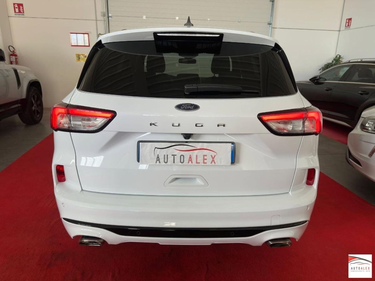 Ford Kuga 2.0 EcoBlue 120 CV aut. 2WD ST-Line X (5)