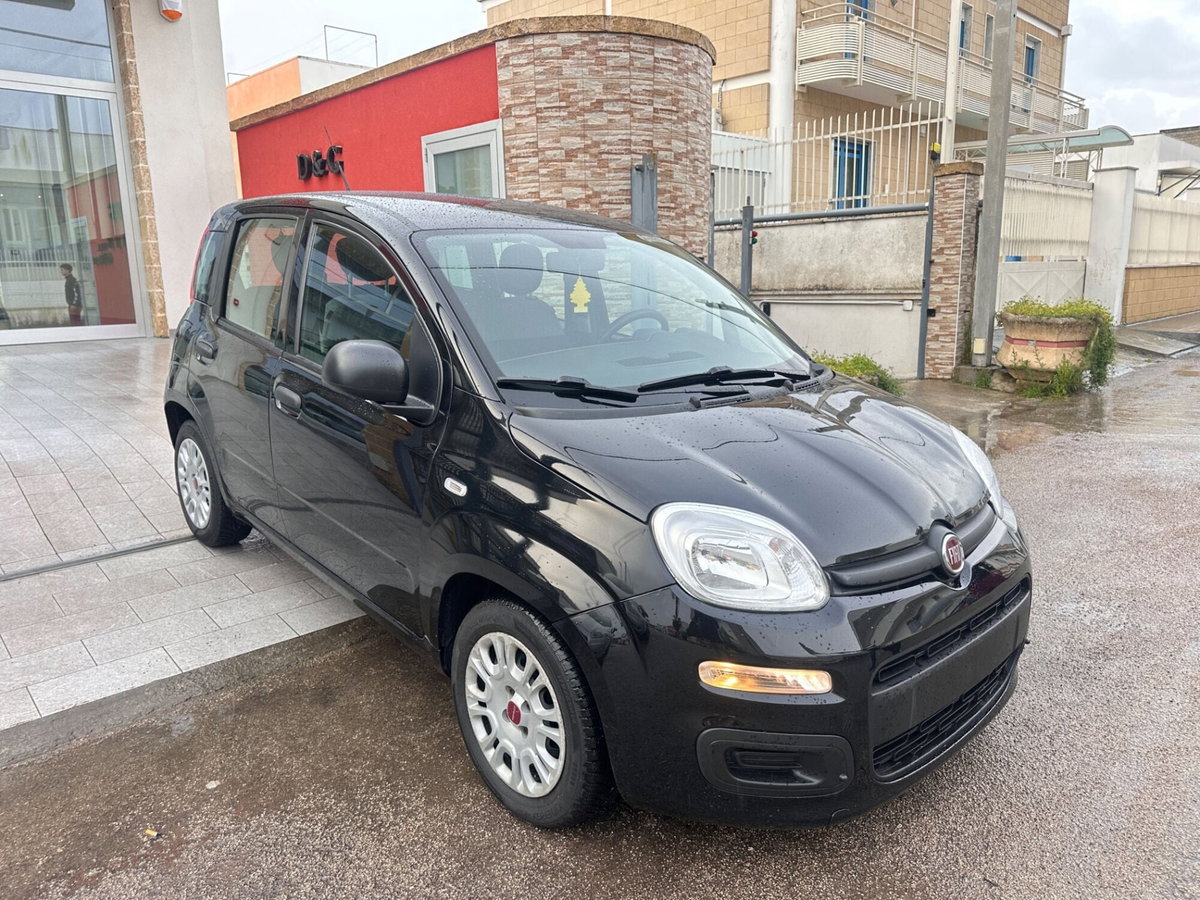 Fiat Panda 1.0 FireFly S&S Hybrid (2)