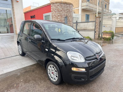 Fiat Panda 1.0 FireFly S&S Hybrid (2)