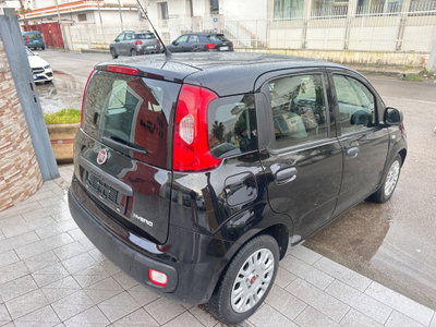 Fiat Panda 1.0 FireFly S&S Hybrid (3)