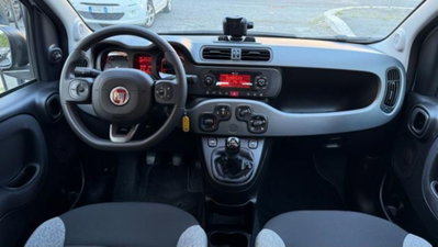 Fiat Panda 1.0 firefly hybrid s&s 70cv 5p.ti (8)