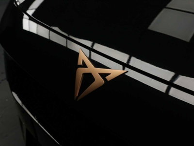 Cupra Formentor 2.0 tsi VZ 4drive 333cv dsg (10)