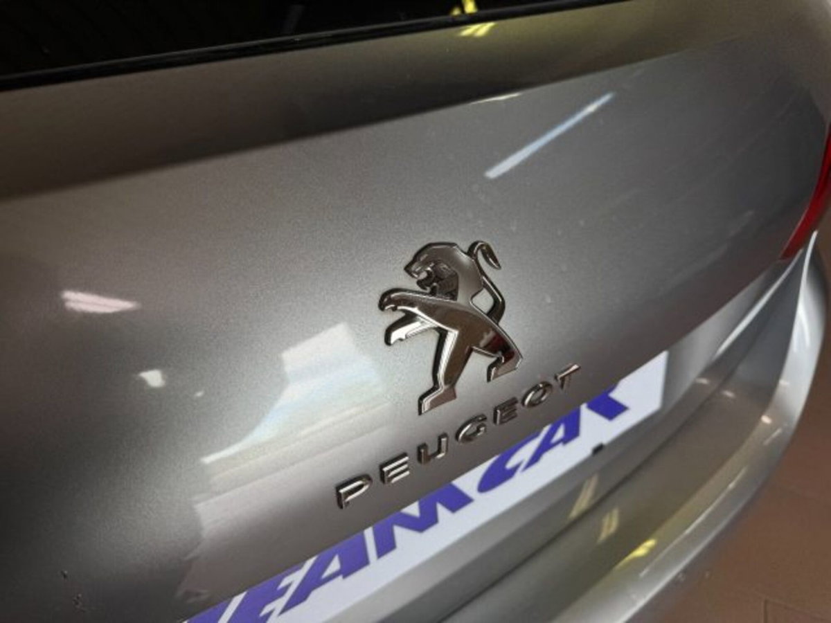 Peugeot 308 BlueHDi 100 S&S Business (17)