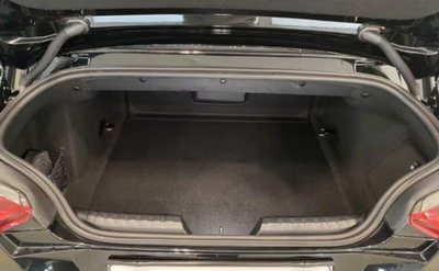 BMW Z4 Cabrio sdrive 30i auto (18)