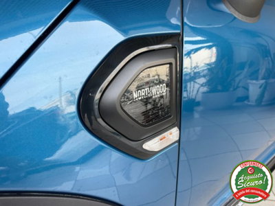 MINI Mini Countryman 2.0 Cooper D Northwood Edition Countryman ALL4 Aut. (20)