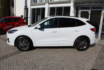 Ford Kuga 2.5 Full Hybrid 190 CV CVT 2WD ST-Line X (2)