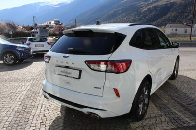 Ford Kuga 2.5 Full Hybrid 190 CV CVT 2WD ST-Line X (4)