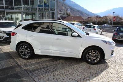 Ford Kuga 2.5 Full Hybrid 190 CV CVT 2WD ST-Line X (5)