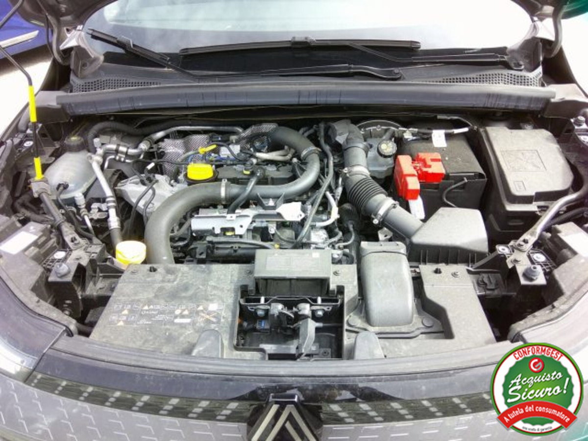 Renault Captur TCe 100 CV GPL Techno (14)