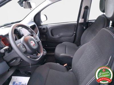 Fiat Panda Cross 1.0 firefly hybrid Cross s&s 70cv 5p.ti (10)