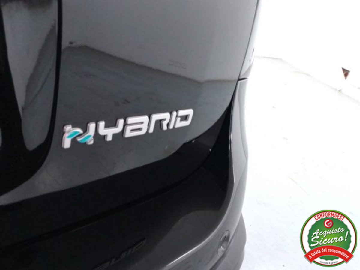 Fiat Panda Cross 1.0 firefly hybrid Cross s&s 70cv 5p.ti (20)