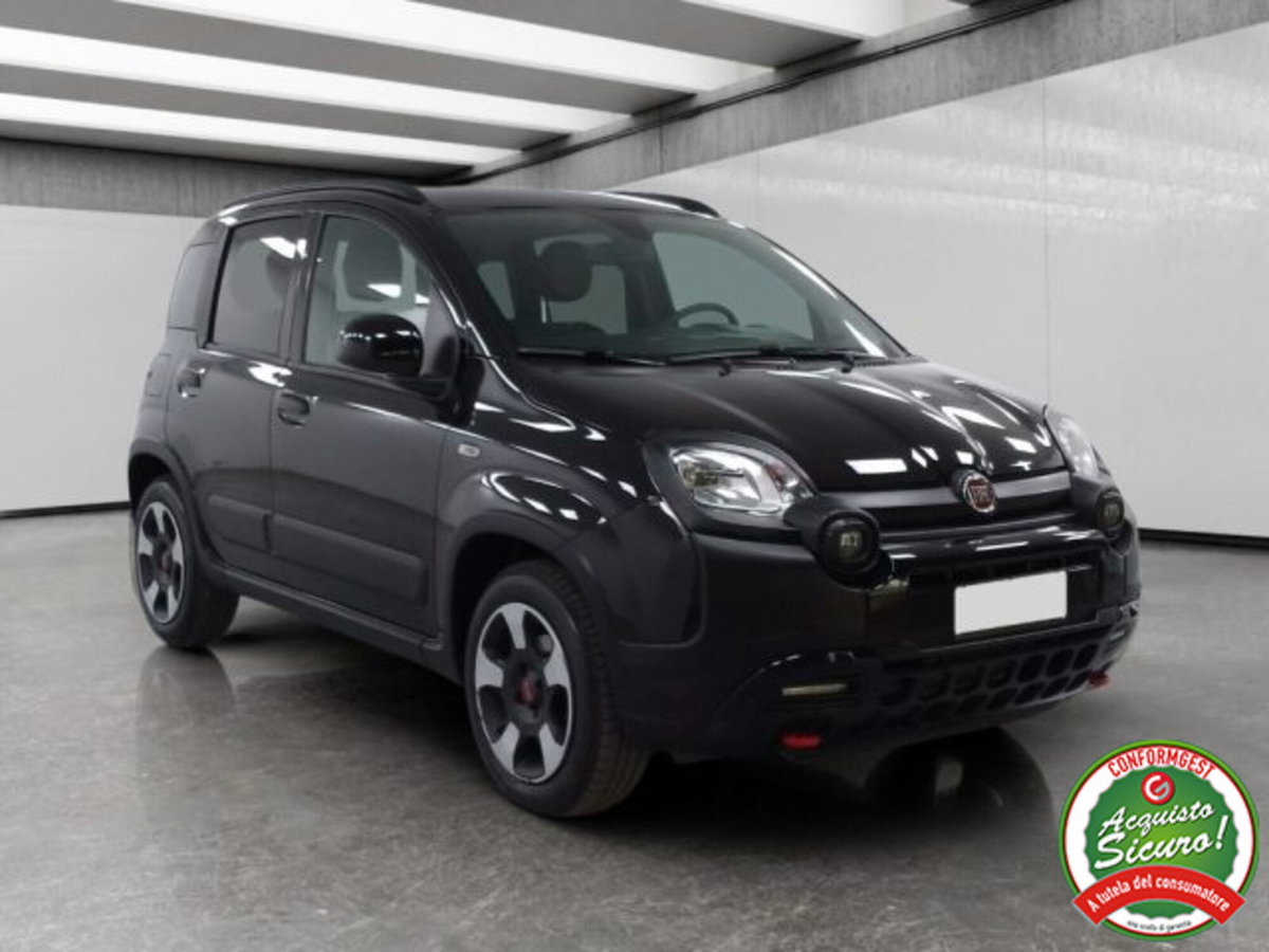 Fiat Panda Cross 1.0 firefly hybrid Cross s&s 70cv 5p.ti (3)