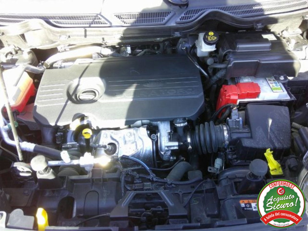 Ford EcoSport 1.5 TDCi 95 CV Plus (13)
