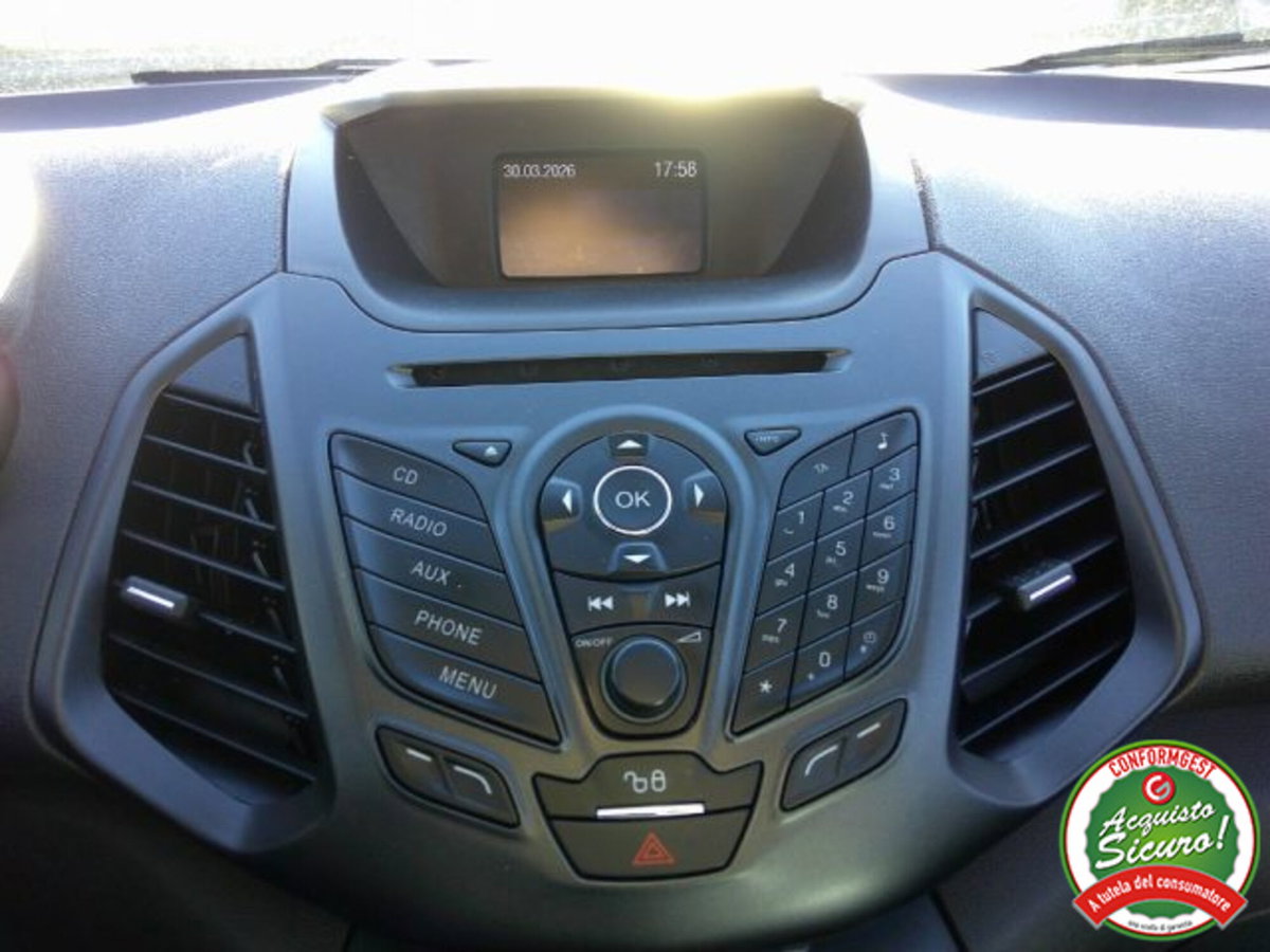 Ford EcoSport 1.5 TDCi 95 CV Plus (16)