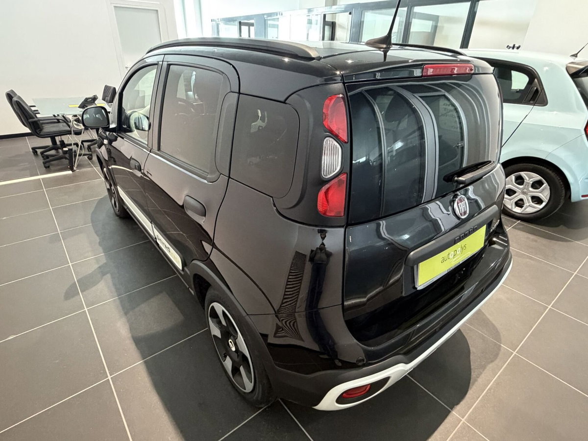 Fiat Panda Cross Cross 1.0 FireFly S&S Hybrid (4)
