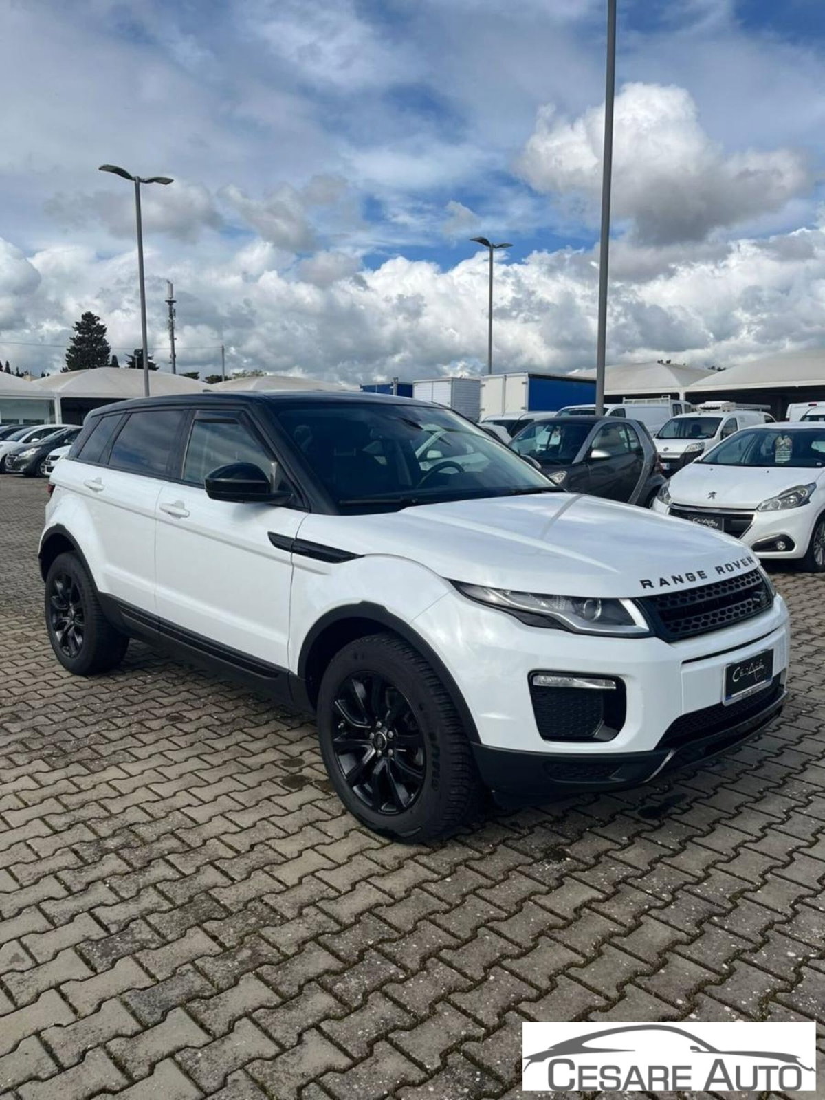 Land Rover Range Rover Evoque 2.0 TD4 150 CV 5p SE Dynamic Landmark Ed. (2)