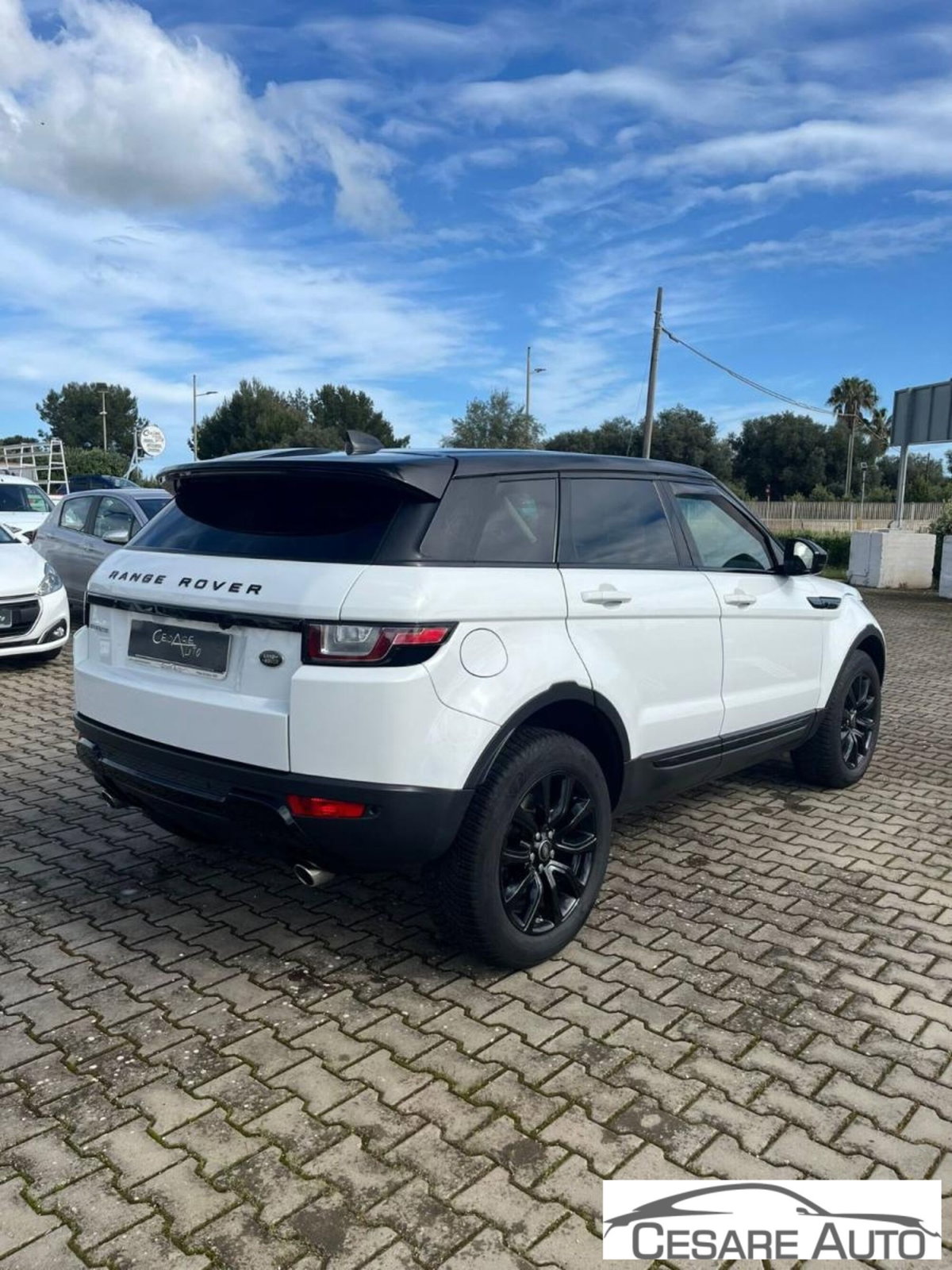 Land Rover Range Rover Evoque 2.0 TD4 150 CV 5p SE Dynamic Landmark Ed. (4)