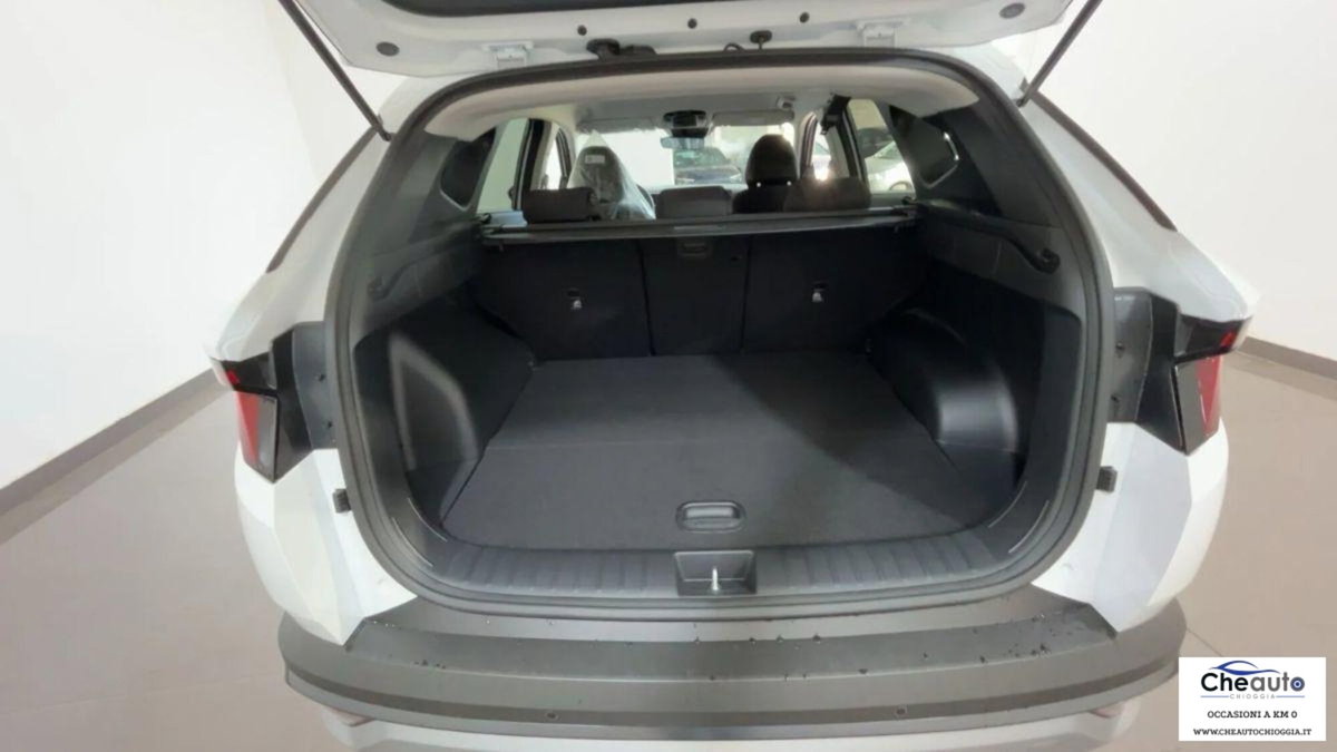 Hyundai Tucson 1.6 crdi 48V Business 2wd dct (16)