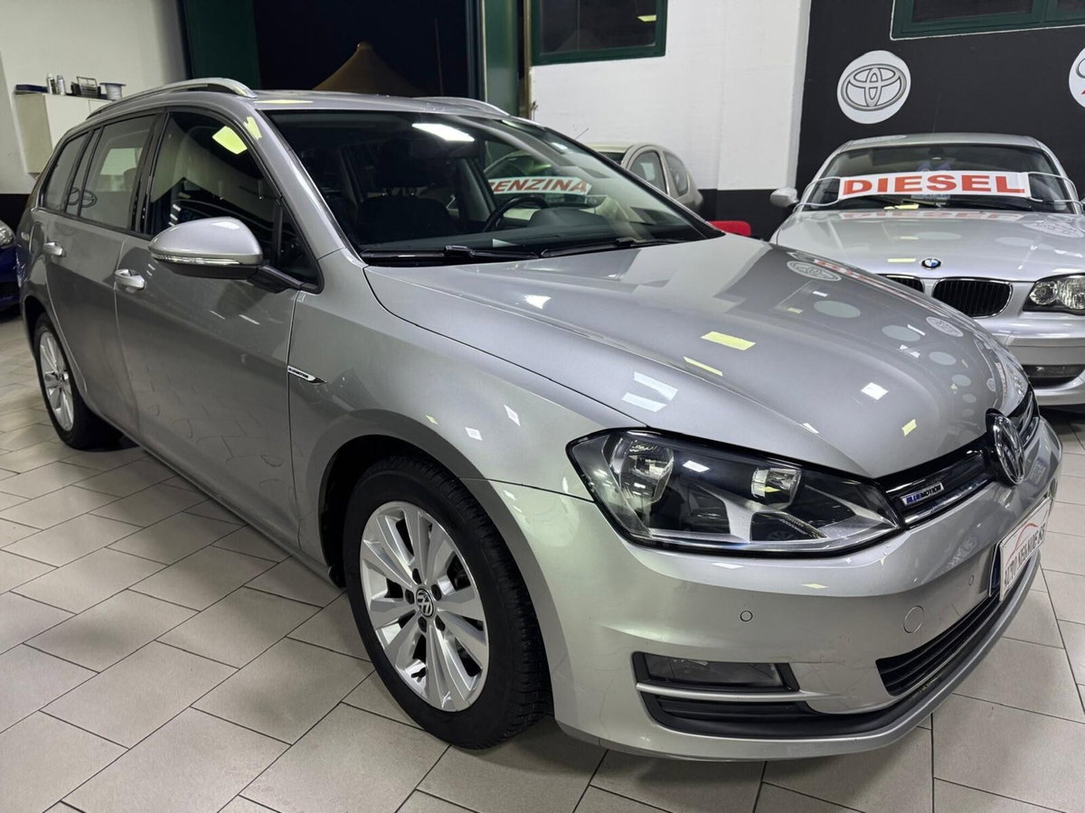 Volkswagen Golf Variant 1.4 TGI Executive BlueMotion (2)