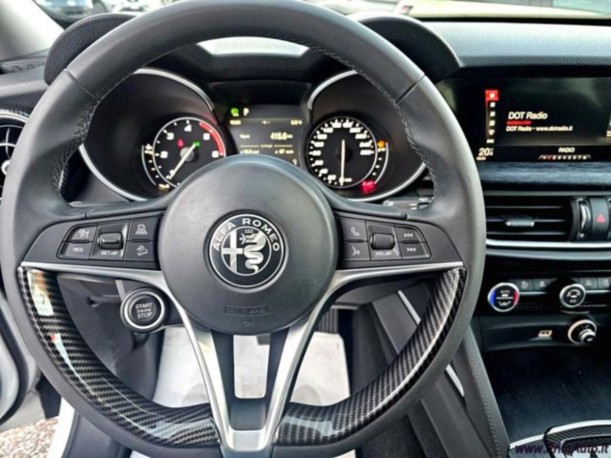 Alfa Romeo Stelvio Stelvio 2.2 Turbodiesel 160 CV AT8 RWD Sport-Tech (10)