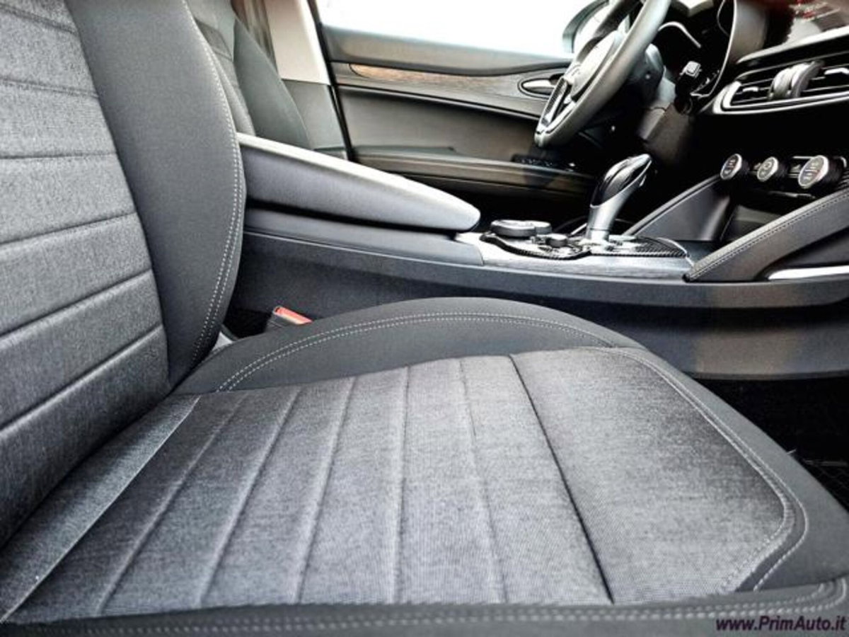 Alfa Romeo Stelvio Stelvio 2.2 Turbodiesel 160 CV AT8 RWD Sport-Tech (13)