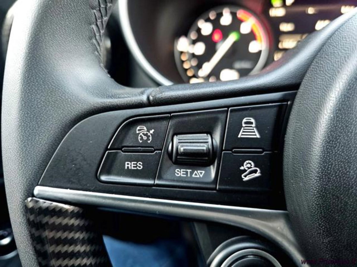 Alfa Romeo Stelvio Stelvio 2.2 Turbodiesel 160 CV AT8 RWD Sport-Tech (16)