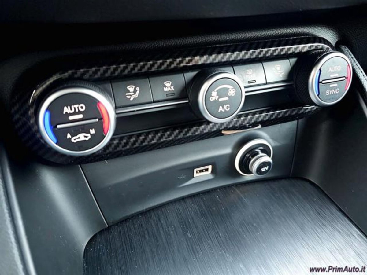 Alfa Romeo Stelvio Stelvio 2.2 Turbodiesel 160 CV AT8 RWD Sport-Tech (18)