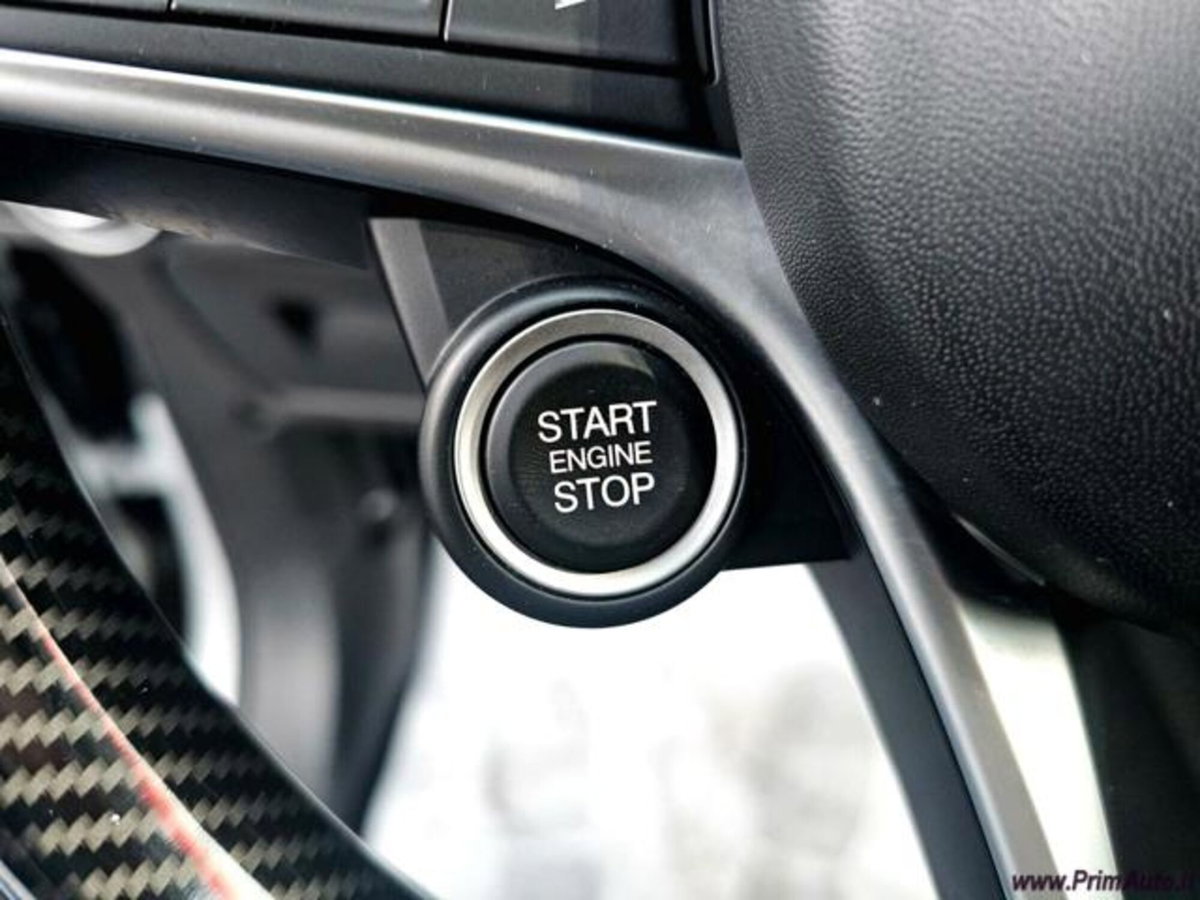 Alfa Romeo Stelvio Stelvio 2.2 Turbodiesel 160 CV AT8 RWD Sport-Tech (20)