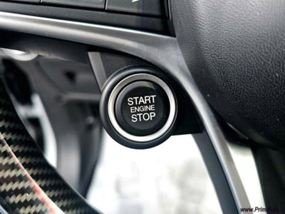 Alfa Romeo Stelvio Stelvio 2.2 Turbodiesel 160 CV AT8 RWD Sport-Tech (20)