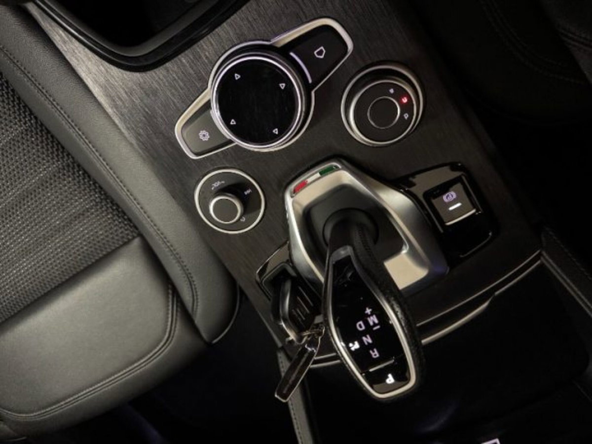 Alfa Romeo Stelvio Stelvio 2.2 Turbodiesel 210 CV AT8 Q4 Veloce (19)