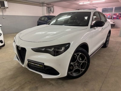 Alfa Romeo Stelvio Stelvio 2.2 Turbodiesel 210 CV AT8 Q4 Veloce (7)