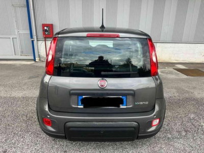 Fiat Panda 1.0 firefly hybrid s&s 70cv 5p.ti (10)