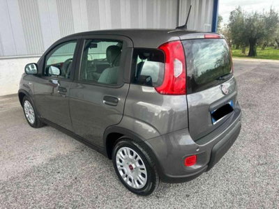 Fiat Panda 1.0 firefly hybrid s&s 70cv 5p.ti (11)