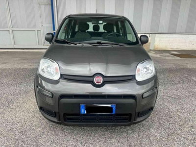 Fiat Panda 1.0 firefly hybrid s&s 70cv 5p.ti (2)