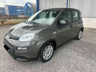 Fiat Panda 1.0 firefly hybrid s&s 70cv 5p.ti (3)