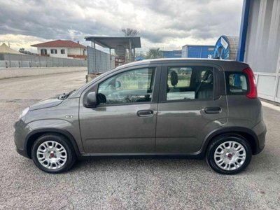 Fiat Panda 1.0 firefly hybrid s&s 70cv 5p.ti (4)