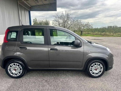 Fiat Panda 1.0 firefly hybrid s&s 70cv 5p.ti (5)