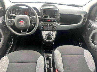Fiat Panda 1.0 firefly hybrid s&s 70cv 5p.ti (6)