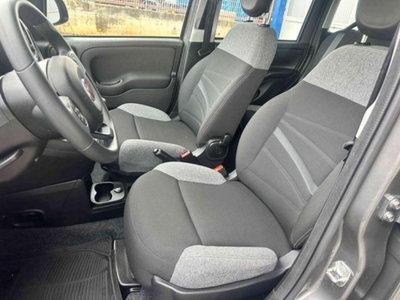 Fiat Panda 1.0 firefly hybrid s&s 70cv 5p.ti (7)