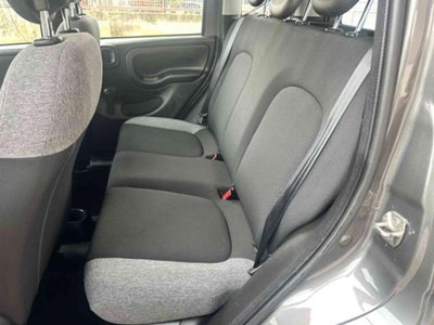 Fiat Panda 1.0 firefly hybrid s&s 70cv 5p.ti (8)