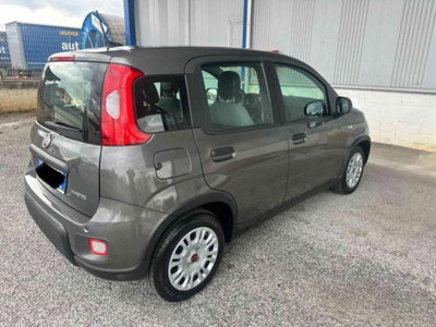 Fiat Panda 1.0 firefly hybrid s&s 70cv 5p.ti (9)