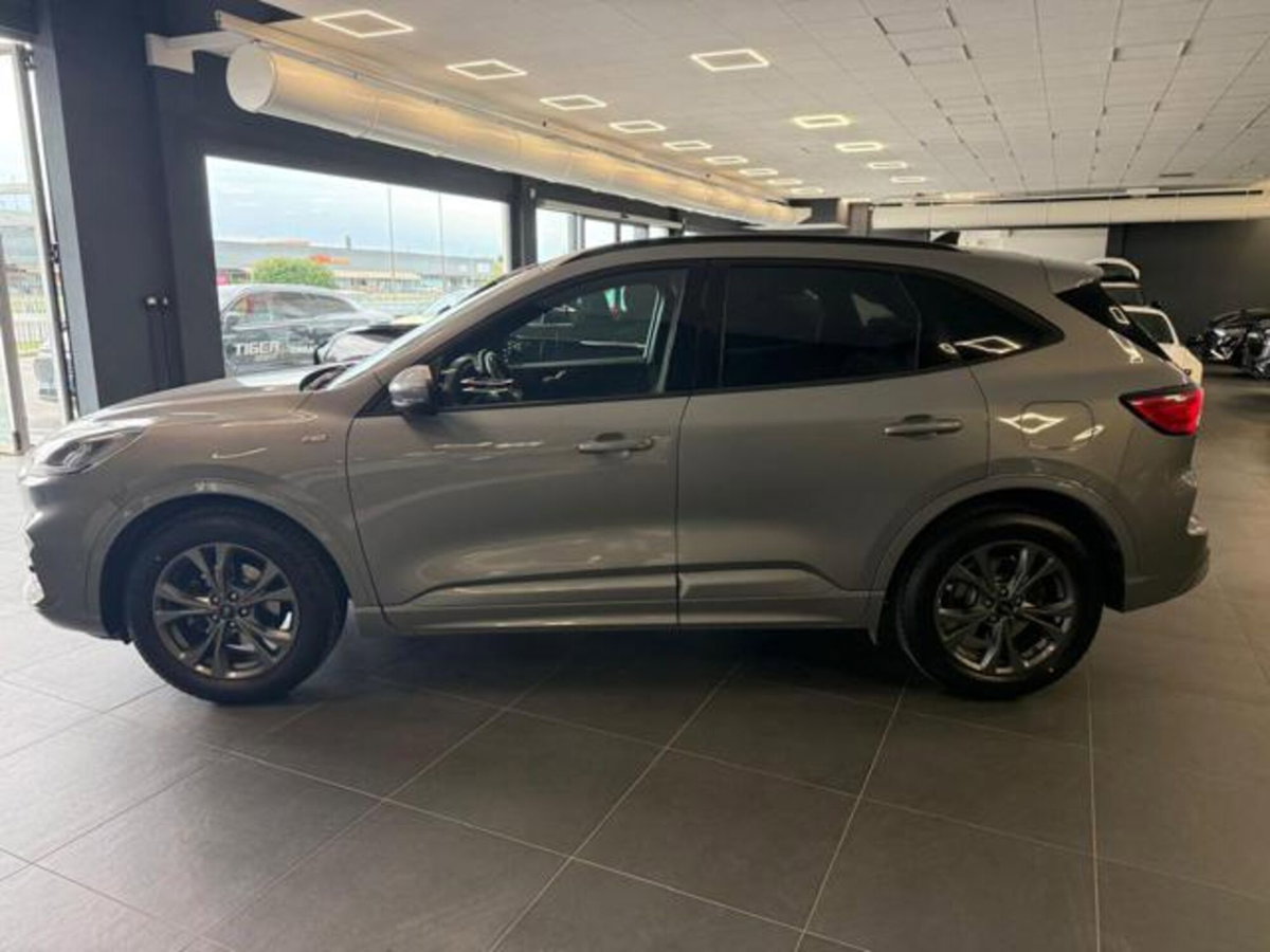 Ford Kuga 1.5 EcoBlue 120 CV aut. 2WD ST-Line X Design (5)