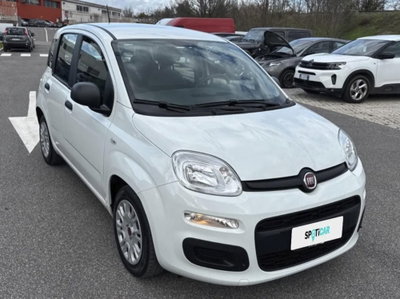 Fiat Panda Cross Cross 1.0 FireFly S&S Hybrid usata