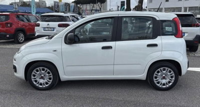 Fiat Panda Cross Cross 1.0 FireFly S&S Hybrid (2)