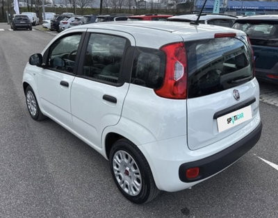Fiat Panda Cross Cross 1.0 FireFly S&S Hybrid (3)