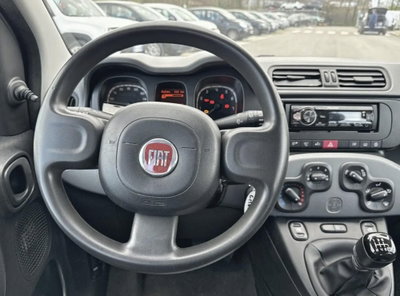 Fiat Panda Cross Cross 1.0 FireFly S&S Hybrid (10)