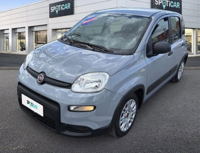 Fiat Panda Cross Cross 1.0 FireFly S&S Hybrid (2)