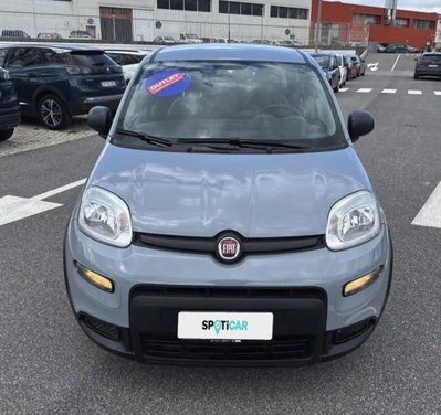 Fiat Panda Cross Cross 1.0 FireFly S&S Hybrid (6)