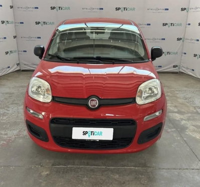 Fiat Panda 1.2 Easy (2)